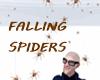 FALLING SPIDERS