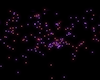 Purple Floor Particles