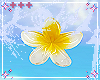 plumeria v1 yellow 🌺
