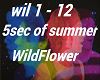 Wildflower 5sec of summe