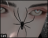 *C Animated.Spider:.
