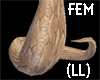 (LL) Boa Tail Female