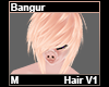 Bangur Hair M V1