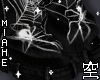 空 - Boots Spider