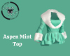 Aspen Mint Top