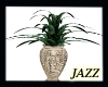 Jazzie-Egyptian Plant 2
