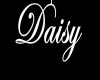 Daisy Necklace