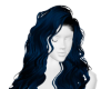 Dark Blue Curly