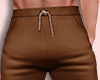 Beach Brown Shorts