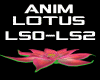Anim Lotus LIGHT