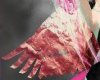 Pink foil wings #2