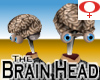Brain Head -Female