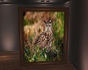 owl framed