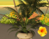 Exotic Potted Plant