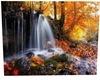 Fall Backdrop
