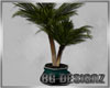 [BG]BGD Potted Palm ll
