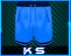 [KS] Blue Long Shorts