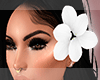 {W} Flor White