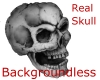 Real  Skull    (Sticker)