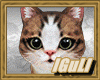 REALİTS CATS F/M PETS