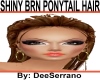 SHINY BRN PONYTAIL HAIR