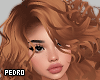 Calandro Ginger