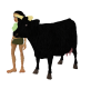 Black Farm Cow
