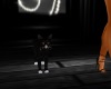 black cat animated