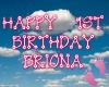 13~Briona's First Bday