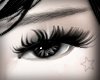 top ✰ lashes