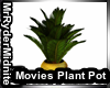 Movies Plant Pot