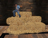 hay bale with photo pose