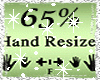Hand Scaler 65