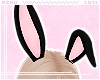 m. Bunny Ears Blink