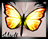 {CS}Fire Butterfly