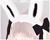 $K Goth Bunny Ears
