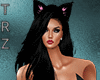 TRZ- Kitty Bundle- Glove