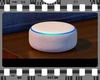 ALEXA STREAMING  RADIO