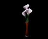 [BB]Cala Lillies in Vase