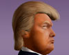 Donald J Trump Hair