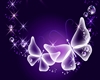 purple butterfly bar