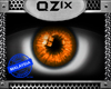 QZ|Orange Eye 'M
