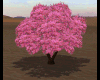 pink tree with shadow