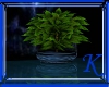 [K] Blue Wolf Plant Refl