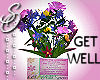S0]Get Well Flowers/Card