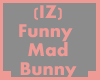 (IZ) Funny Mad Bunny