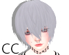 C.C Silver Fang Hair