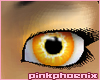 Dreamcicle Eyes