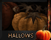 (K) Hallows Pumpkins