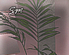 [SM]Spring_Time_Plant